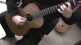 Moonlight Sonata  classical guitar [upl. by Anitsyrc495]