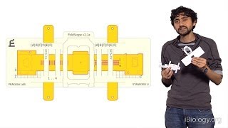 Manu Prakash Stanford Foldscope Origami Based Paper Microscopes [upl. by Amadeo]