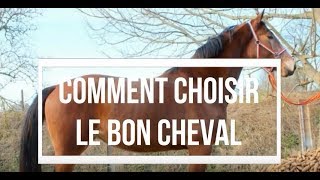 Comment choisir le bon cheval [upl. by Aileduab847]