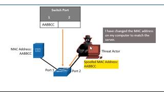 Amplification Reflection and Spoofing Attacks [upl. by Jemimah]