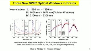 Robert Alfano Advances in Noninvasive Optical Biopsy [upl. by Gavin30]