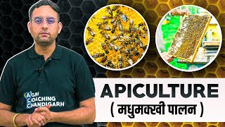 Apiculture  Honeybee Farming  Bee Keeping [upl. by Marris260]