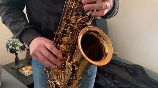 Ishimori Woodstone Alto Saxophone Video Demo [upl. by Biron]