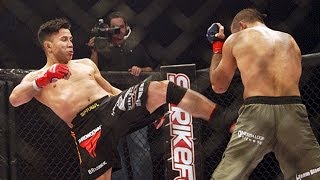 Cung Le  11 Fights  All Strikes  Deadly Strikers  Part 1 [upl. by Torp]