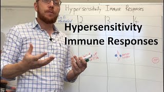 Hypersensitivity Immune Responses [upl. by Ahdar]