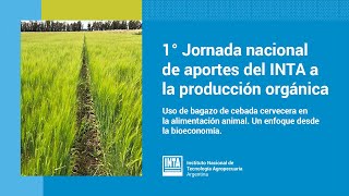 Uso de bagazo de cebada cervecera en la alimentación animal Un enfoque desde la bioeconomía [upl. by Barbaresi309]