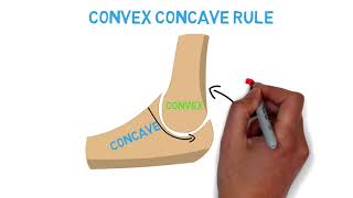 Ray Diagrams 3 of 4 Concave and Convex Lenses and Mirrors Parallel Light Rays [upl. by Bee]