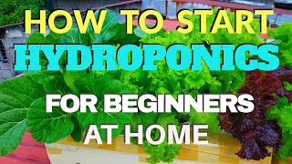 HOW TO START HYDROPONICS FOR BEGINNERS AT HOME [upl. by Nosilla]