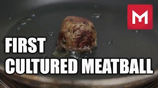 The Worlds First Cultured Meatball  Memphis Meats [upl. by Sergent156]