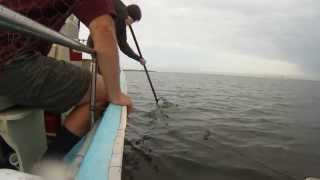 Eastern Shore MD Crabbing Trip Long [upl. by Norac]