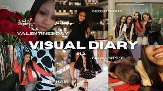 VISUAL DIARY 013 valentine’s day new puppy days w friends photoshoot new hair  more Yonikkaa [upl. by Ilona266]