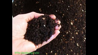 Mulch vs Compost by The Gardening TutorMary Frost [upl. by Occer]