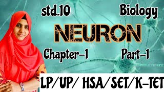 Structure amp Function of Neuron  Std10  Biology  Chaprer 1  Sensations and Responses Part1 [upl. by Ydaf]