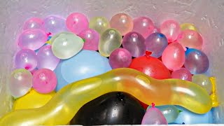 Pop Colorful Water Balloons  Popping Balloons Slow Motion [upl. by Avon873]