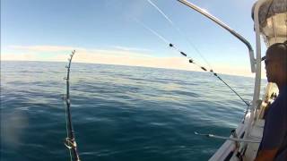 Sportfishing in Cameroon go pro  Dorado fishing [upl. by Casaleggio]