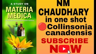 COLLINSONIA CANADENSISFULL NM CHAUDHARYONE SHOT HOMEOPATHIC DRUGS✅in hindi [upl. by Gerda597]