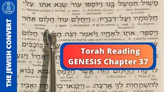 Genesis Chapter 37  Torah Reading in Hebrew amp English Translation  TORAH STUDY [upl. by Eutnoj]