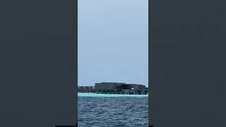 Patina Maldives over water villa shortvideo travel [upl. by Romonda]