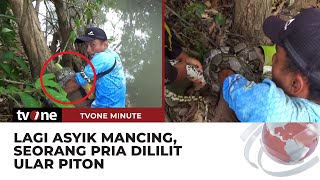 PANIK Seorang Pria Terlilit Ular Piton saat Tengah Mancing di Sungai  tvOne Minute [upl. by Rog]