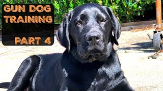 Training my DUCK DOG  Pt 4 [upl. by French]