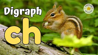 ch Digraph  Phonics Lesson  Introduction and Revision For Kindergarten [upl. by Aisanat]