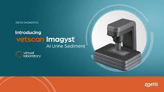 Vetscan Imagyst  How To Run an AI Urine Sediment analysis [upl. by Yltsew]