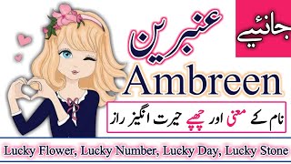 Ambreen Name Meaning in urdu  Ambreen Naam ka Matlab kya hota hai [upl. by Dulcea215]