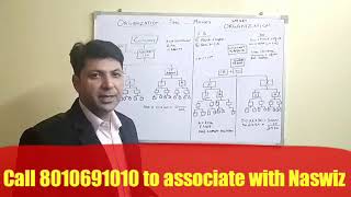 Business Plan Naswiz  Network marketing  Passive Income Concept [upl. by Janean625]