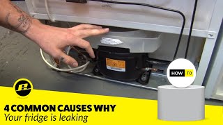 How to Fix a Leaking Fridge 4 Possible Ways [upl. by Fineman]