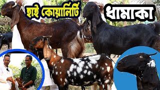 একেই বলে হাই কোয়ালিটি আনোয়ার ভাই মানেই চোখ ধাধানো বাহারী কালেকশন  Goat Farming [upl. by Tunnell]