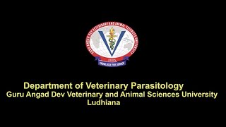 GADVASU Video Tutorial of Practicals in Veterinary Parasitology [upl. by Darreg]