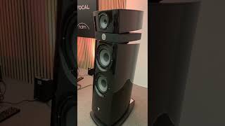 Focal Maestro Utopia Evo  Naim systems  High end Hifi audio setup [upl. by Harriott]