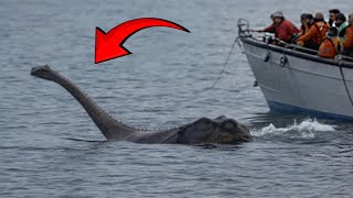 Times When Loch Ness Monster Was Caught Alive On Camera [upl. by Isia]