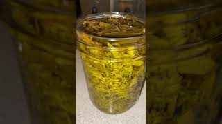 Decanting Goldenrod Tincture [upl. by Baum]