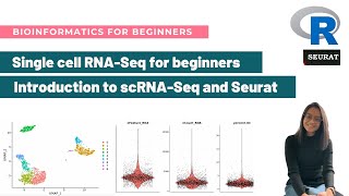 Introduction to singlecell RNASeq and Seurat  Bioinformatics for beginners [upl. by Yeldoow]