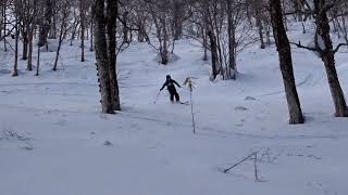 Atomic Backland 95 Telemark Skiing [upl. by Aidnama]