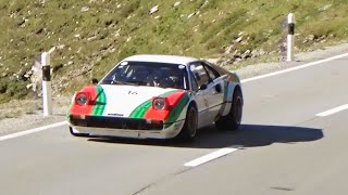 Ferrari 308 GTB Michelotto 1977  Hill Climb with V8 Power [upl. by Naujtna]