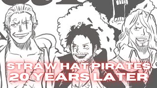 Old Luffy Sanji and Zoro One Piece after 20 years [upl. by Witcher]