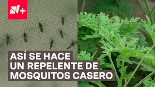 ¿Cómo hacer repelente casero para mosquitos  N [upl. by Laughton344]