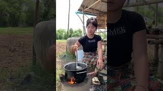 Rural Life Cooking 336 [upl. by Hnim]