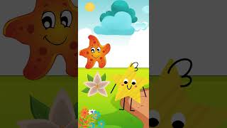 How To Say Star In Hebrew cohav hebrew viral fun israel kids learning shapes shorts fyp [upl. by Atteiram]