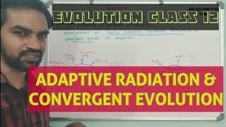 Adaptive Radiation  Convergent Evolution  Evolution [upl. by Urana]