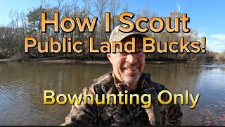 How I Scout Public Land Bucks For Bowhunting Success “Think Like A Deer” [upl. by Aremmat]