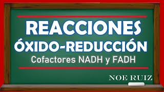 Reacciones ÓxidoReducción Cofactores NADH y FADH  Bioquímica [upl. by Brunhilde]