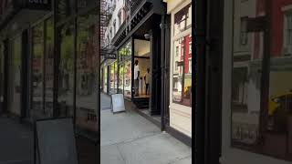 Exploring Greenwich Village in New York travel newyork usa [upl. by Alehs878]