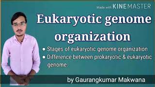 Genetic recombination part 1 [upl. by Rramo]