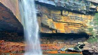 Gerringong Falls at Budderoo National Park Australia [upl. by Morry301]