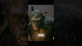 quotCaesar weakquot Koba edit quotDawn Of The Planet Of The Apesquot foryou edit planetoftheapes koba [upl. by Notniuq]