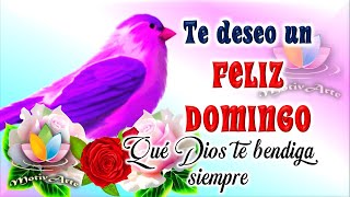 Buenos dias feliz domingo con frases positivas🌸imagenes de buenos dias Ten un feliz día [upl. by Ahusoj]