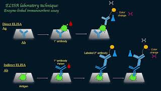 ELISA Enzymelinked Immunosorbent Assay Schematically [upl. by Rice]